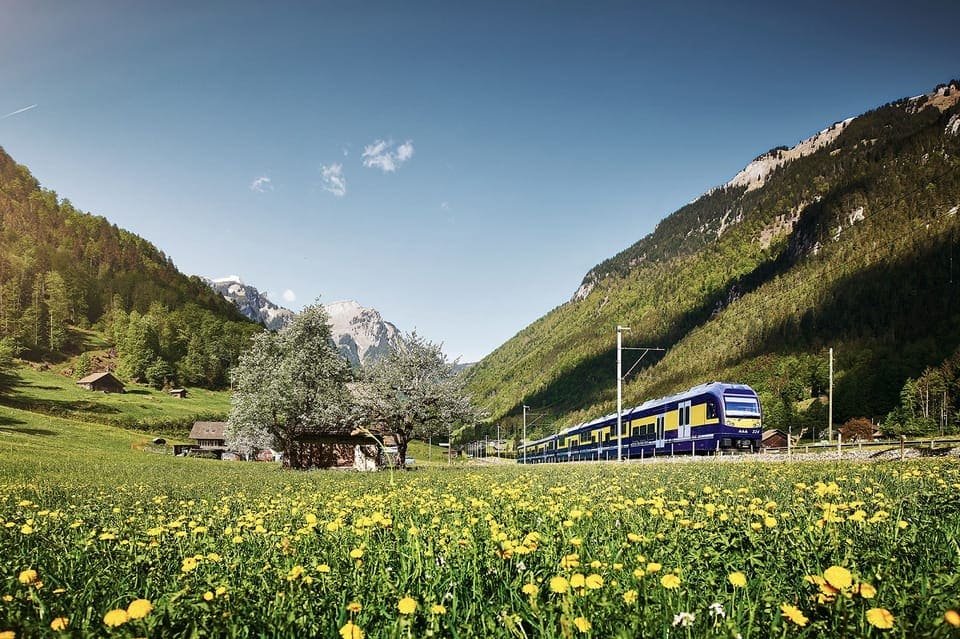 From Lucerne Day Trip to Grindelwald and Interlaken